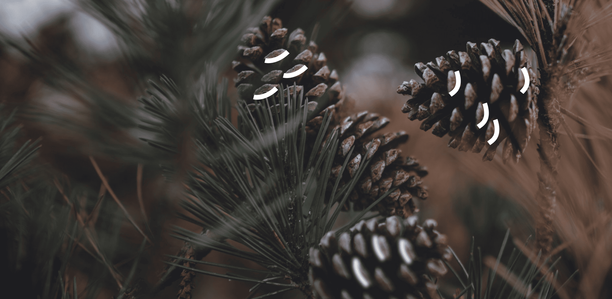 Иллюстрация к статье - Зеленая инфраструктура: парки, скверы и общественные пространства в 2025 году Зеленая инфраструктура: парки, скверы и общественные пространства в 2025 году